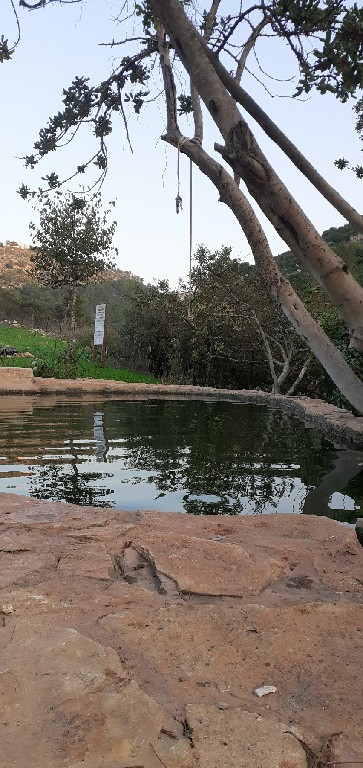 מעיין דולב