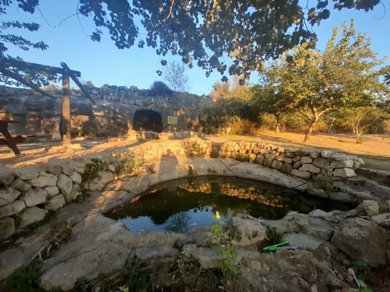 מעיין מאיר