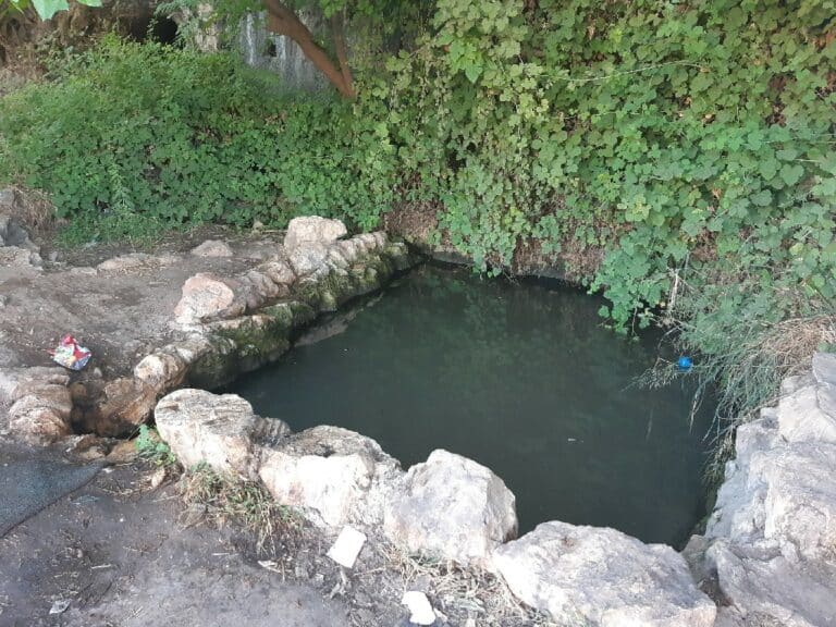 עין מוצא