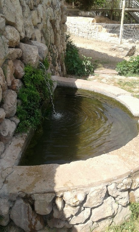 עין צור