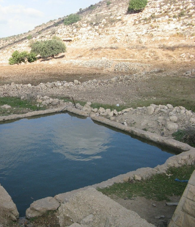 עין ריא