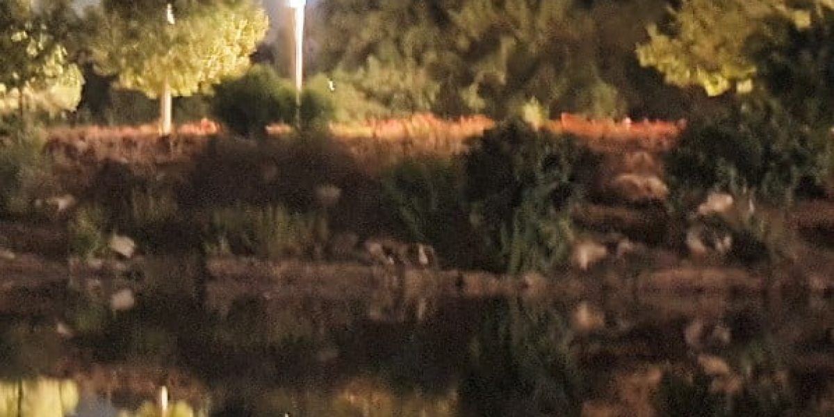 אגם ראש העין