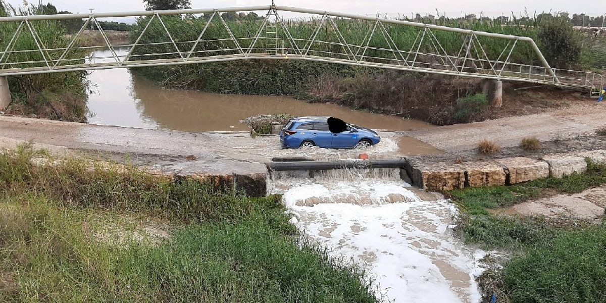 אגמון חפר