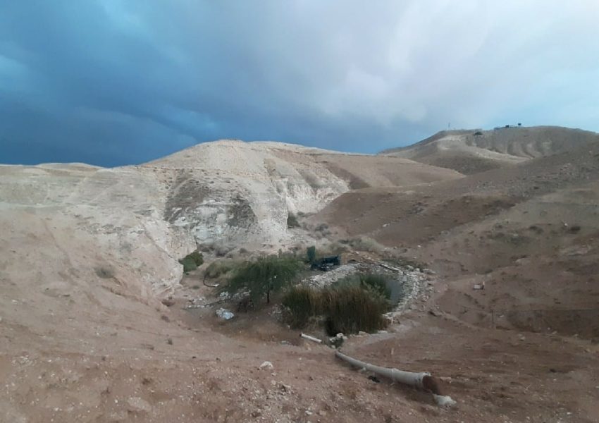 אגמון מצפה יריחו