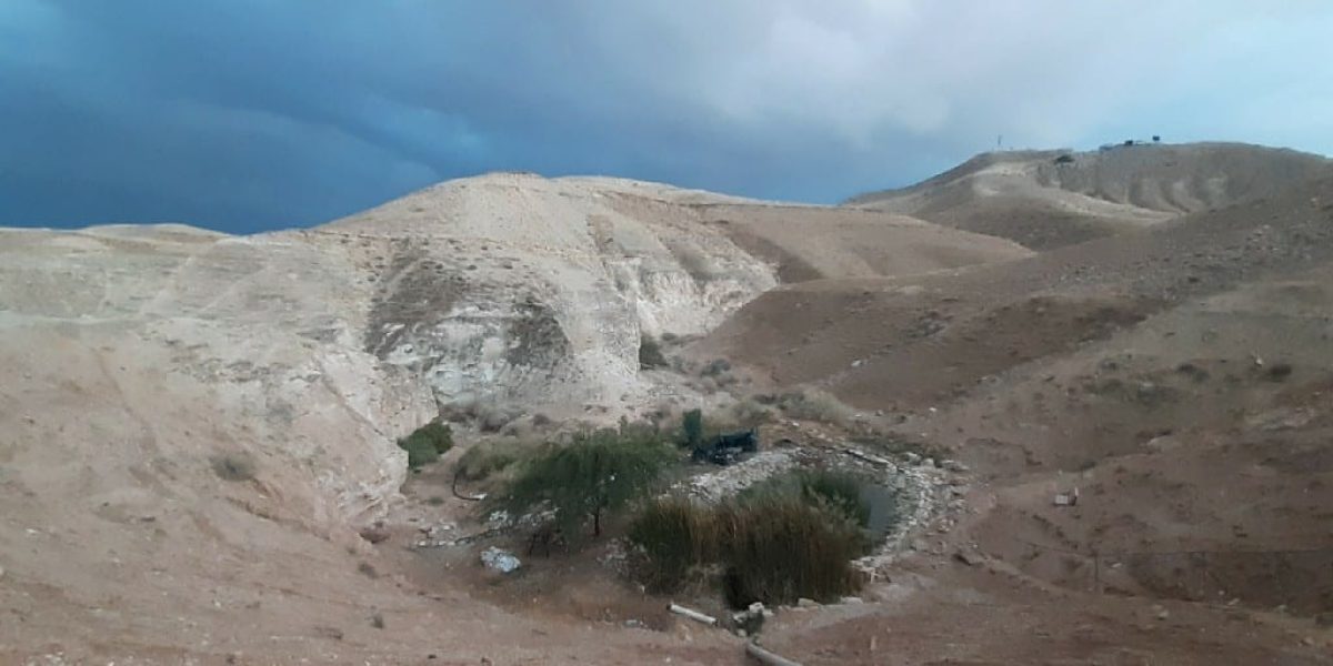 אגמון מצפה יריחו