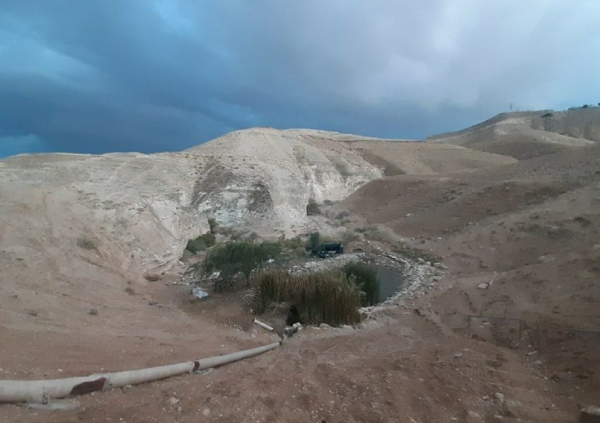 אגמון מצפה יריחו