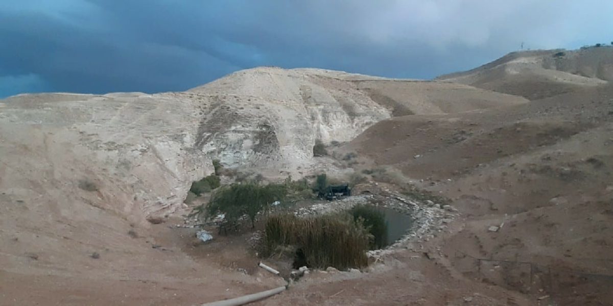 אגמון מצפה יריחו