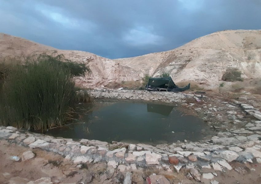 אגמון מצפה יריחו