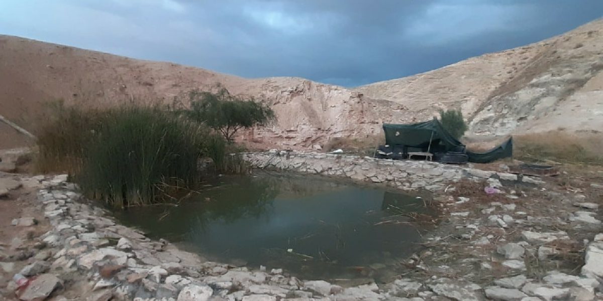 אגמון מצפה יריחו