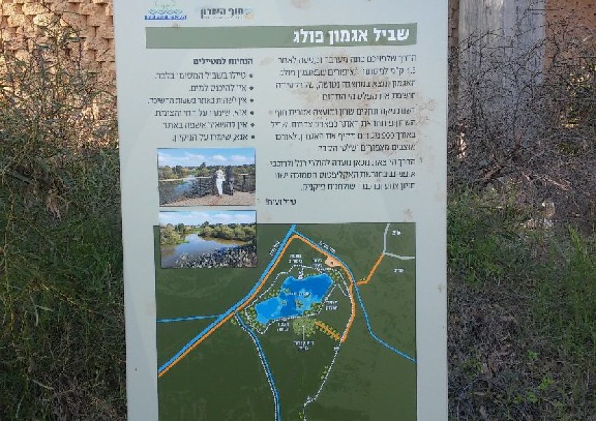 אגמון פולג