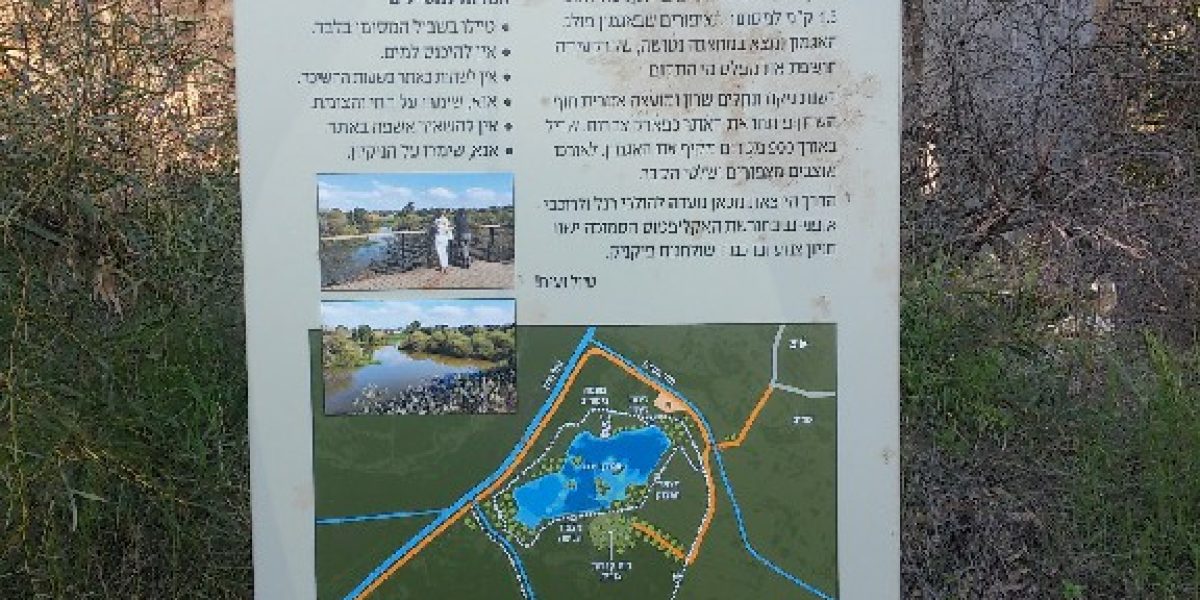 אגמון פולג