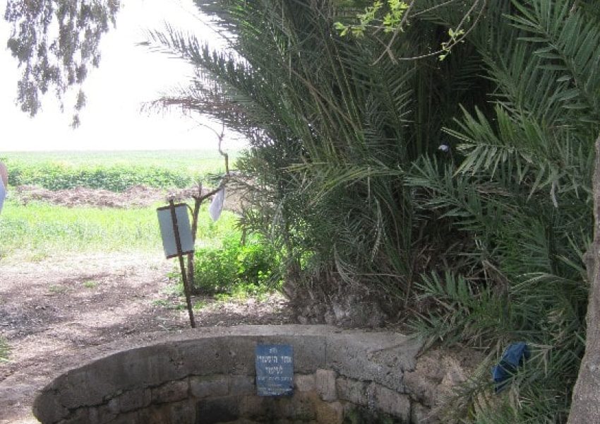 באר אבא