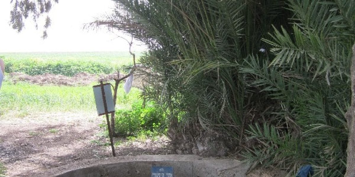 באר אבא