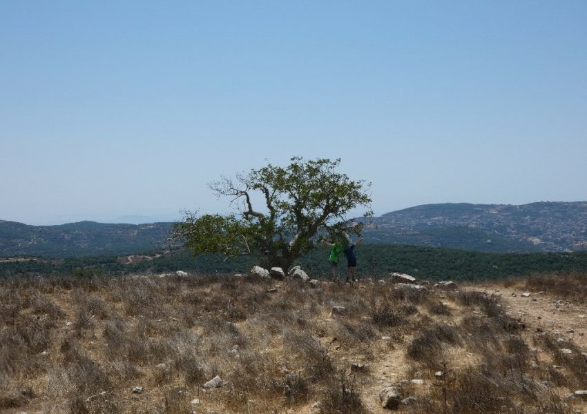 באר רום