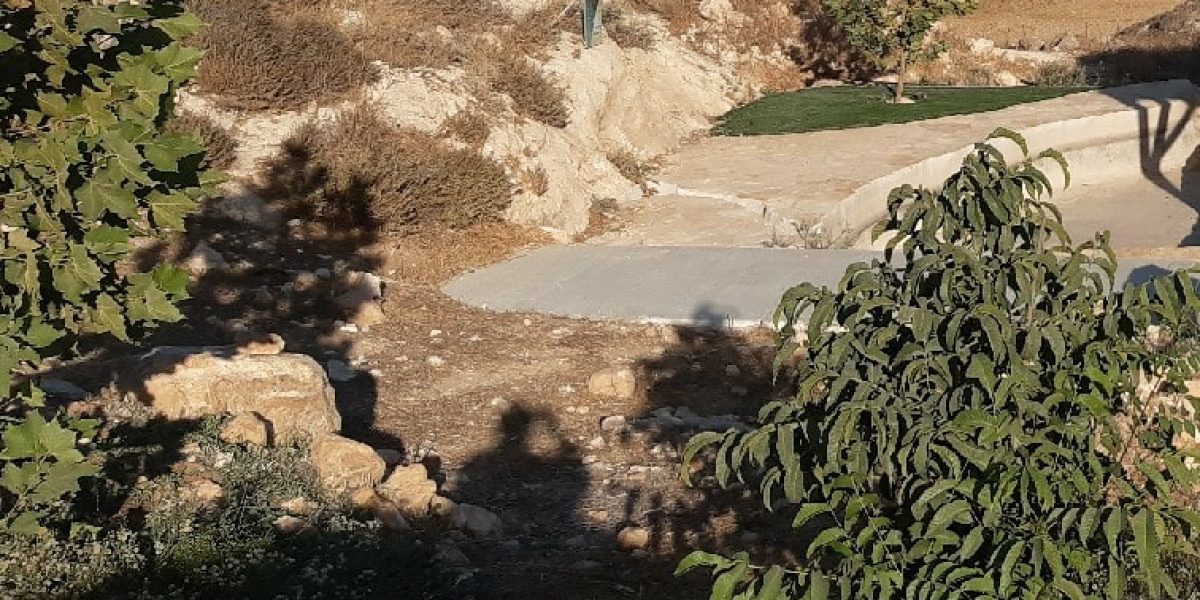 בריכה במעון