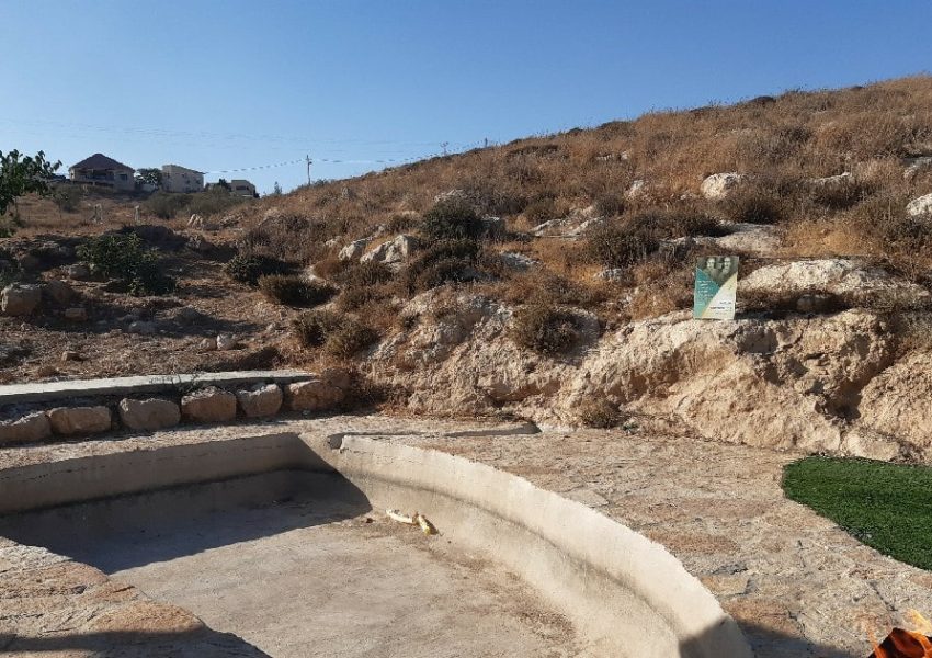 בריכה במעון
