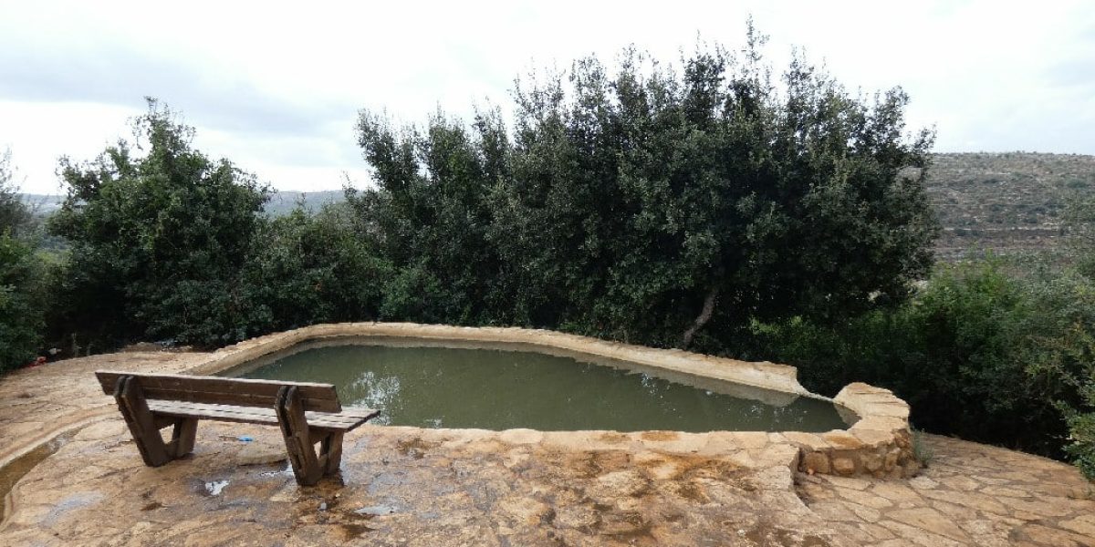 בריכות גידי