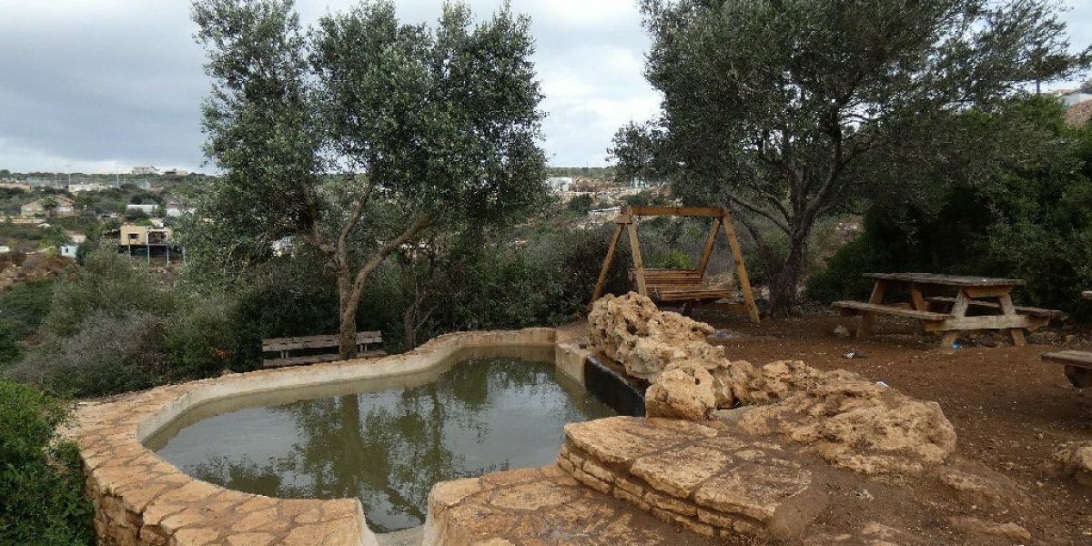 בריכות גידי