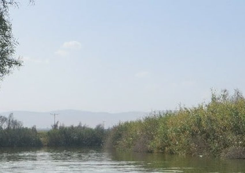 בריכת אבוקה