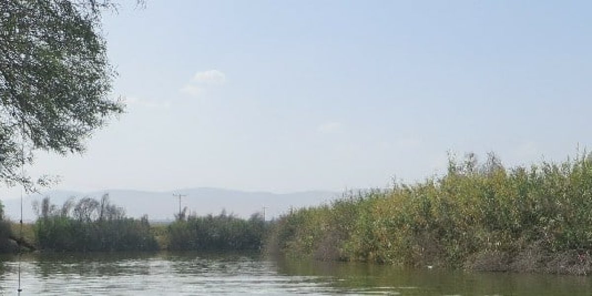 בריכת אבוקה