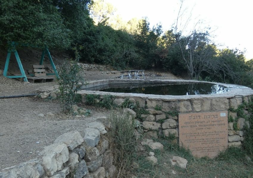 בריכת דובק