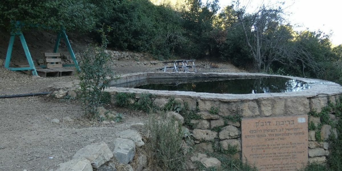 בריכת דובק