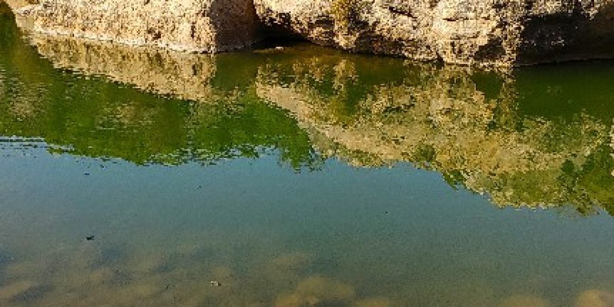 בריכת הצבים בנחל קנה