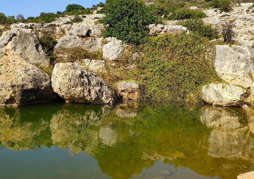 בריכת הצבים בנחל קנה