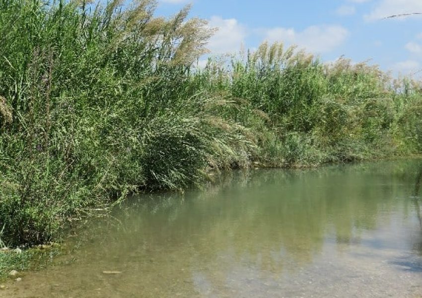 בריכת נחל תנינים