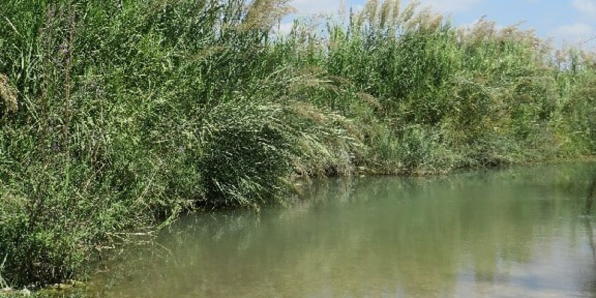בריכת נחל תנינים