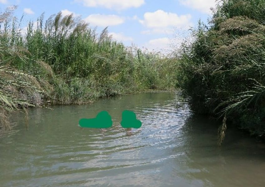 בריכת נחל תנינים