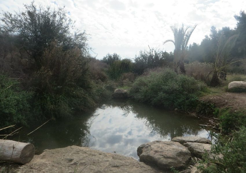 בריכת צאנן