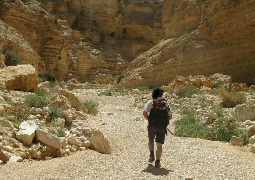 גב חווה