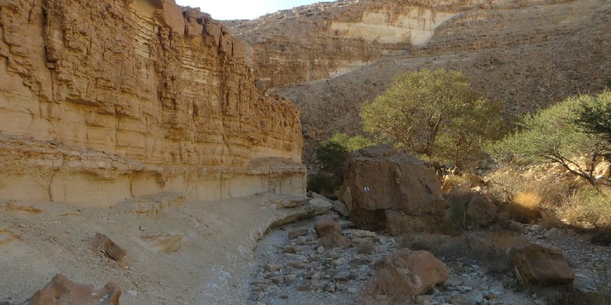 גב עשרון