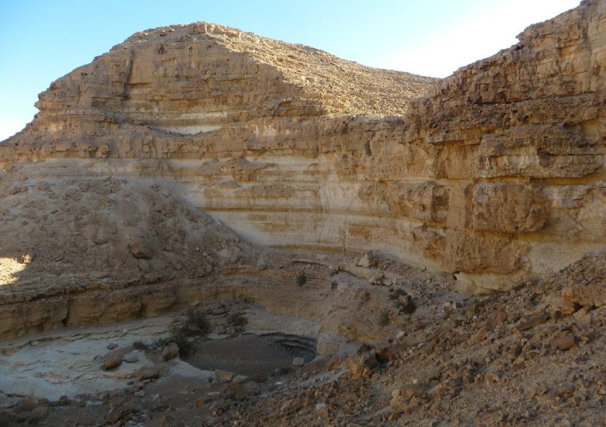 גב עשרון