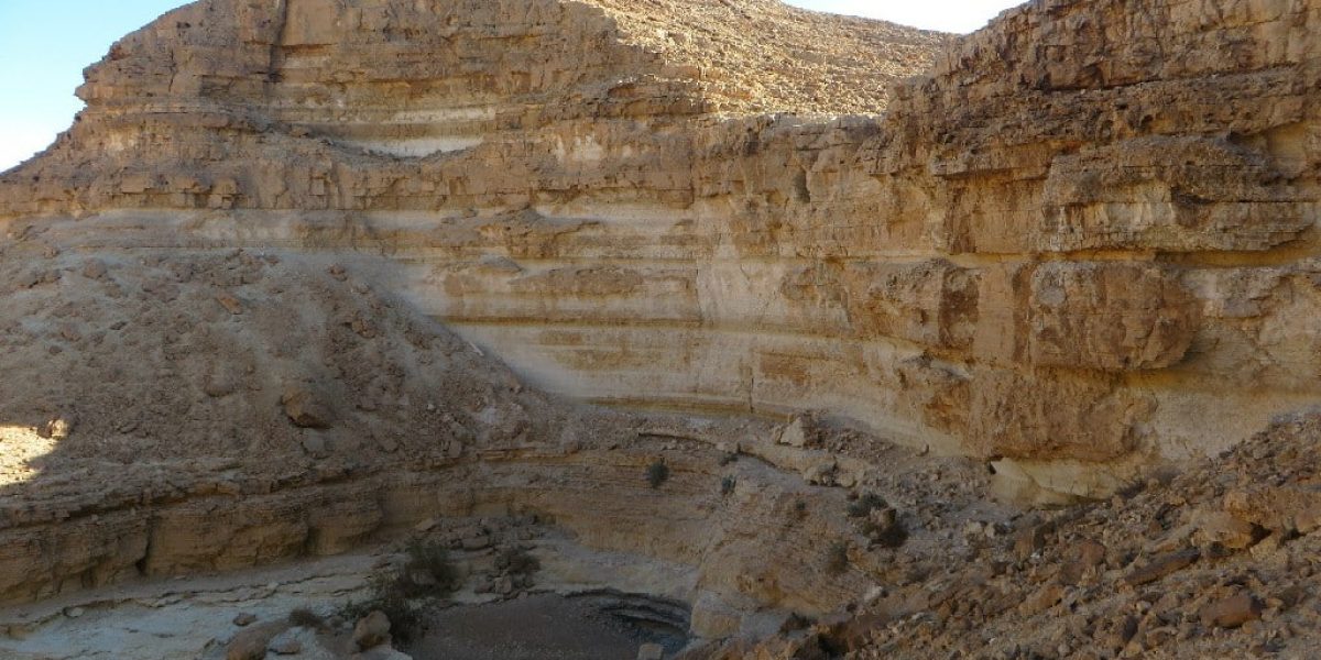 גב עשרון