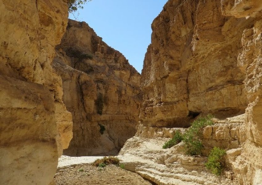 גבי עתק
