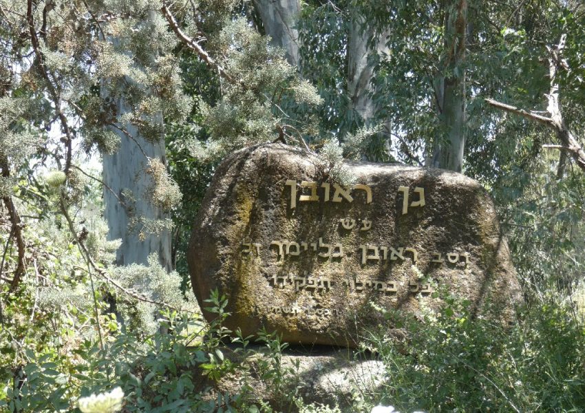 גן ראובן עין צנובר