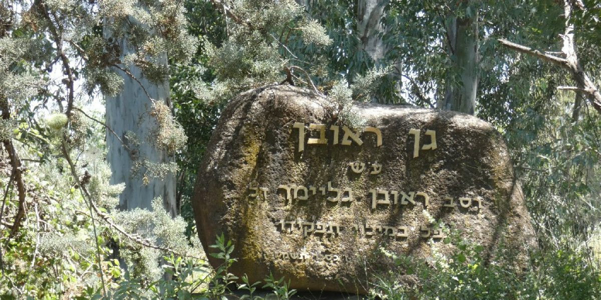 גן ראובן עין צנובר