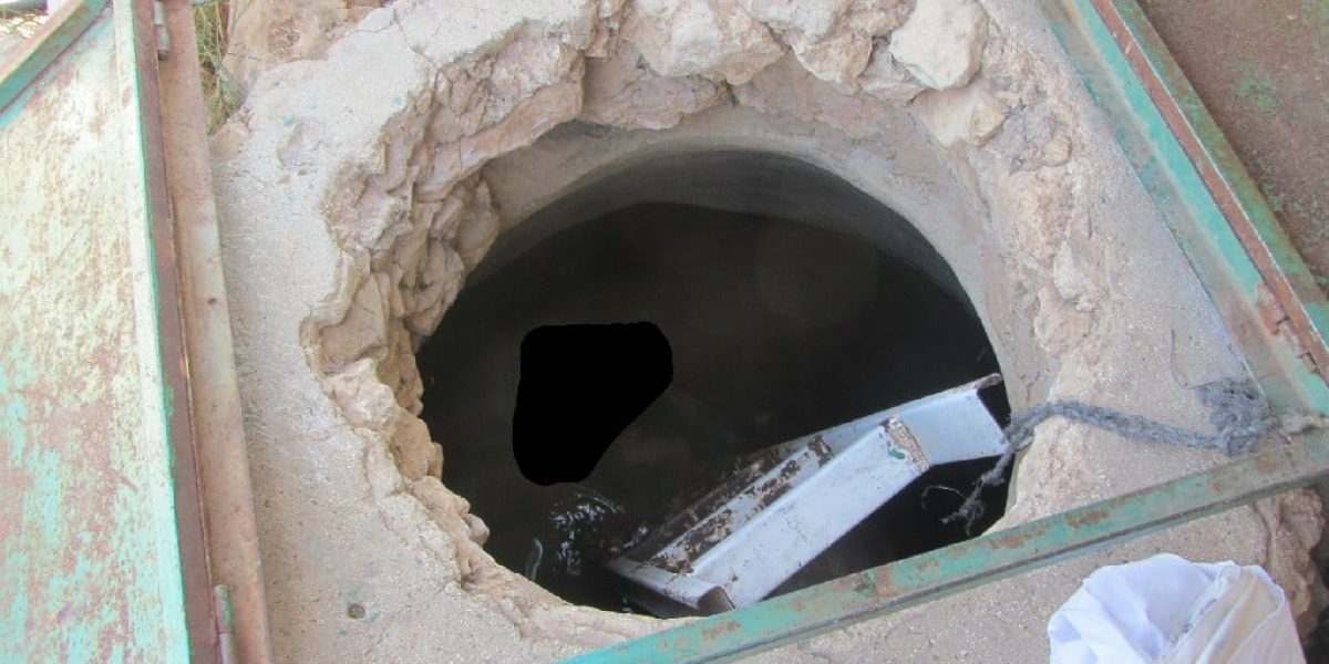 הבור באלון מורה