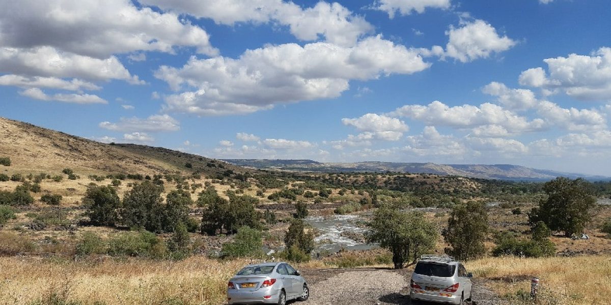 הירדן ההררי כרכום