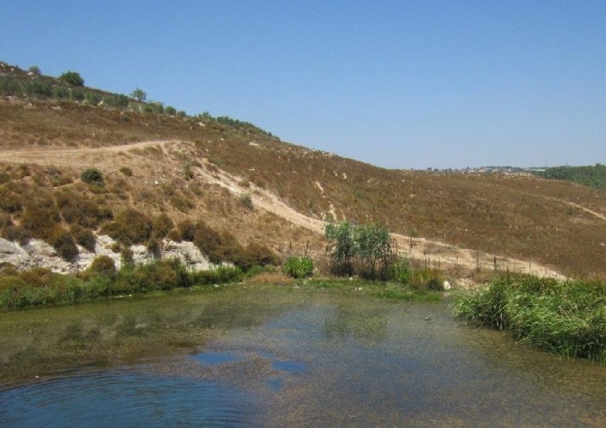 העין הכחולה – גוש חלב