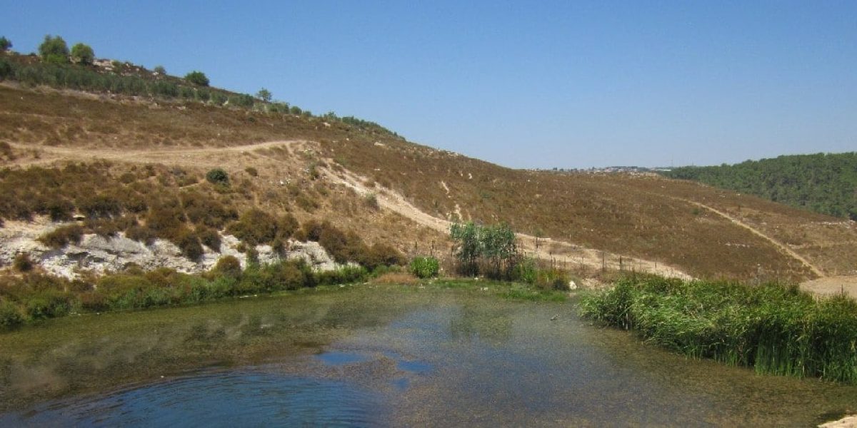 העין הכחולה – גוש חלב