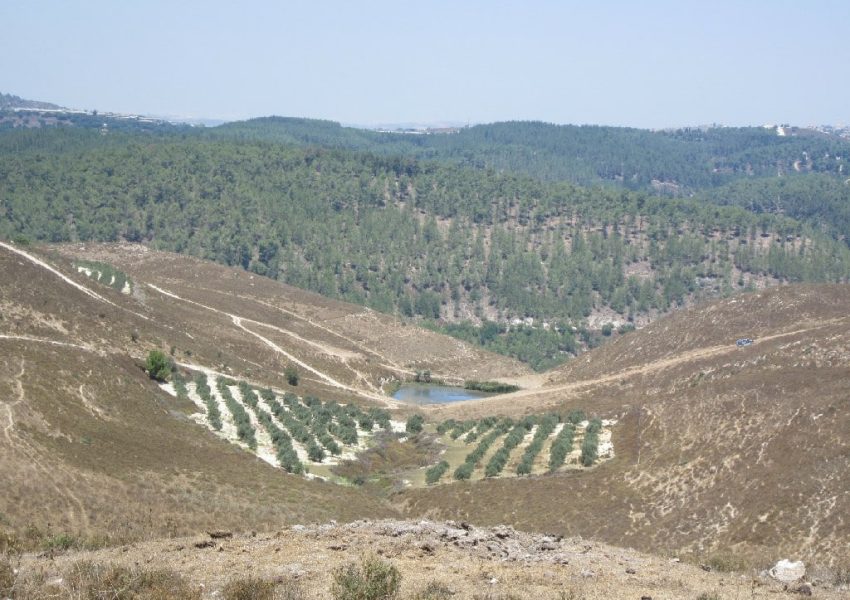 העין הכחולה – גוש חלב