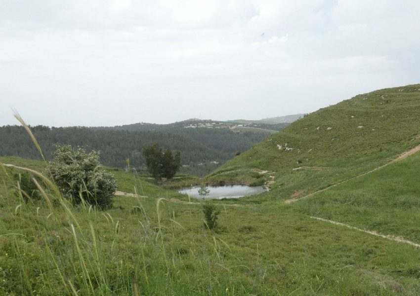 העין הכחולה – גוש חלב