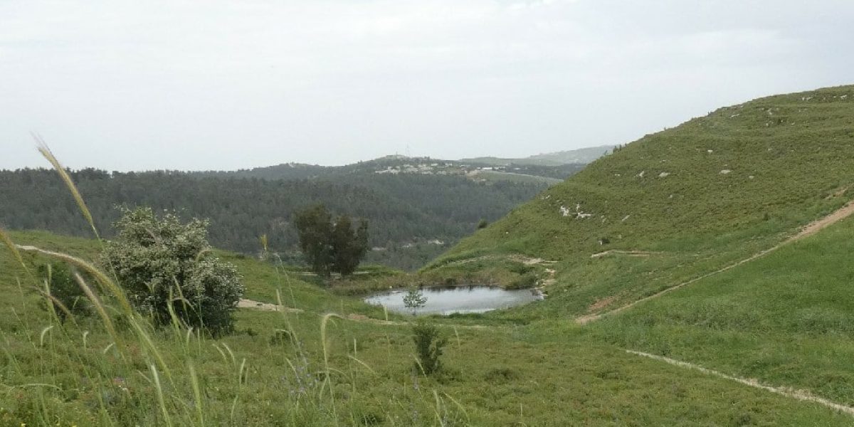 העין הכחולה – גוש חלב
