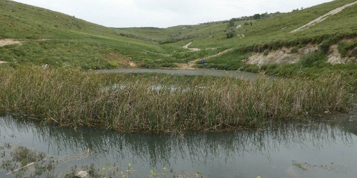 העין הכחולה – גוש חלב