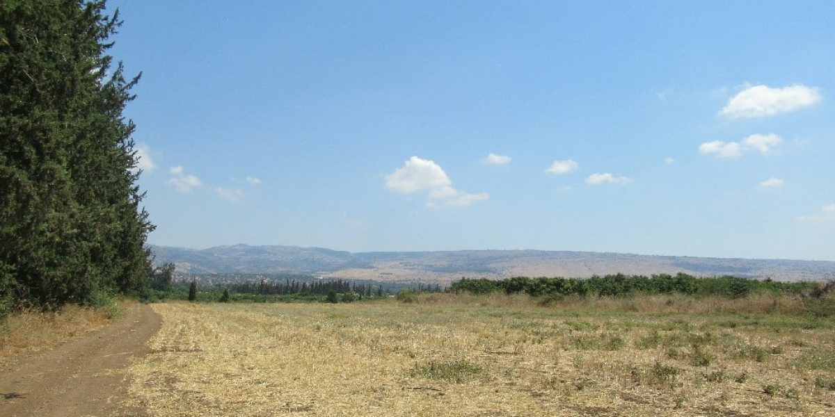 טיולי הדן