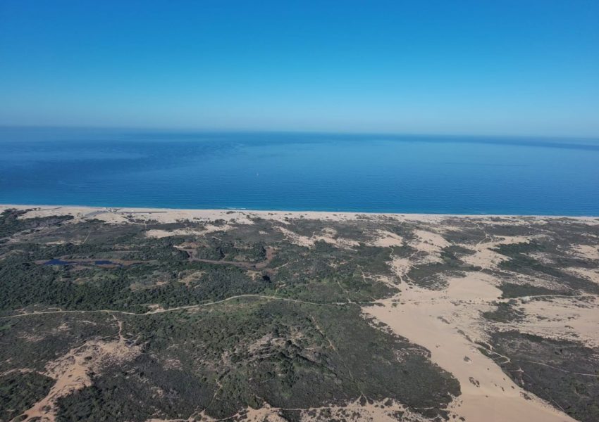 יחידת אירוח הגלים
