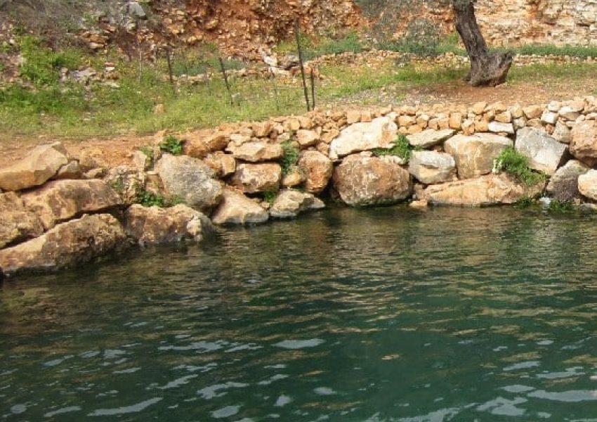 עין יפעם – עין מג'נונה